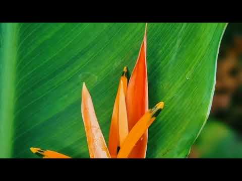 Гана Авторские туры в Гану Туристическая Африка