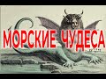 Невероятные морские чудеса | Виктор Максименков