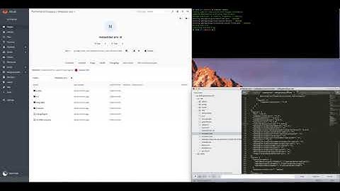 How to install Premium WordPress Plugins with Composer in Roots