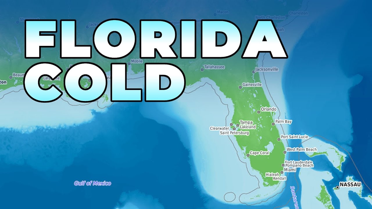 Severe Cold Coming to Florida: Talking Weather for January 13, 2026 ...