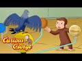 George &amp; the Space Pigeon 🐵 Curious George 🐵 Kids Cartoon 🐵 Kids Movies