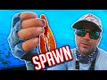 If you Fish in SPRING you NEED to know this TECHNIQUE (Bass Spawn Baits)