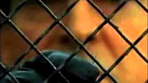 Jeremy Brett (Sherlock) - Emotional Tribute