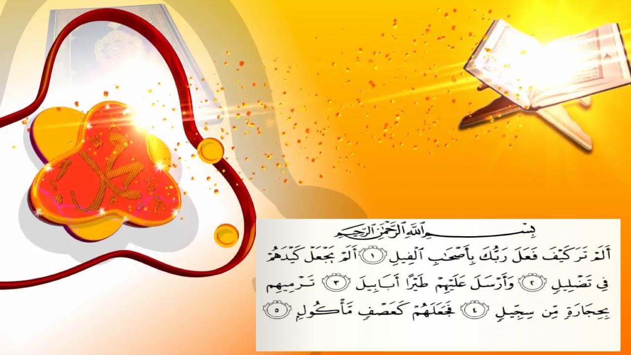 سلسلة المصحف كامل الحلقة |105 سورة الفيل بدر التركي
