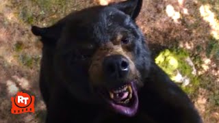 Cocaine Bear (2023) - Eaten Alive in the Tree Scene | Movieclips Resimi