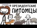 &quot;Домашние питомцы президентов США&quot; - Академия Сэма О&#39;Неллы (озвучено Брокколи)