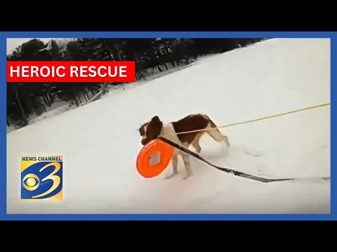 Heroic Dog: Ruby helped rescue his owner who fell through the ice
