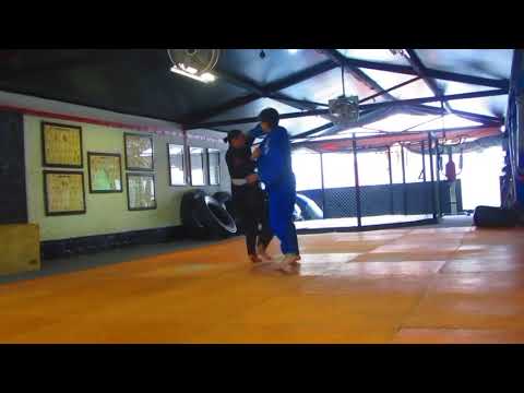 Judo | ogoshi