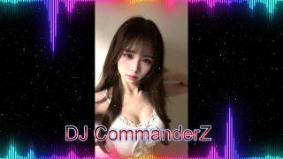 DJ CommanderZ (玛田鼓 MTG)『 童话 x 骗子 x 泪海 x 天平座 x 甲乙丙丁 x 我是真的爱上你 x 根本你不懂得爱我  』 Mixtape 2026