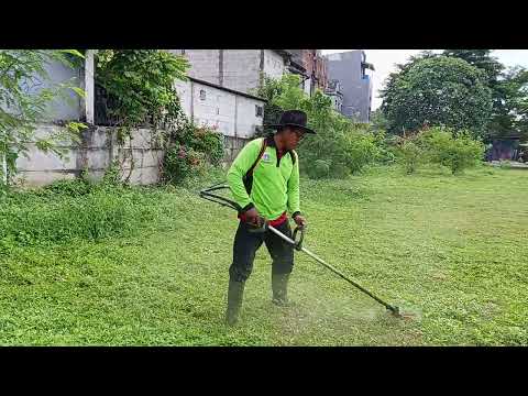 Kegiatan hari ini bersama tim gerasak gerusuk