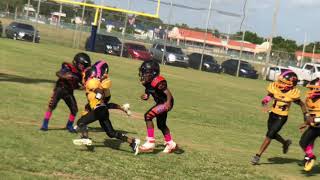 2018 Tamarac Cougars 8u vs Lauderhill Broncos 8u