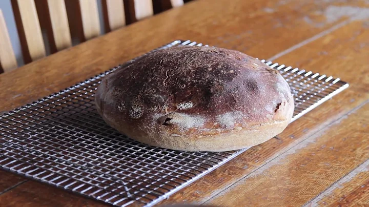 How to Make Sour Dough Bread Using a Dutch Oven - ...