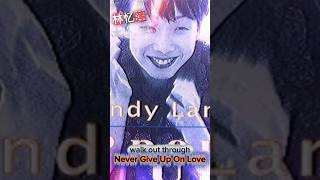 Never Give Up On Love - 林憶蓮 林忆莲 Sandy Lam(精華歌词版)- Keep Hope Inside You Never Give Up On Love