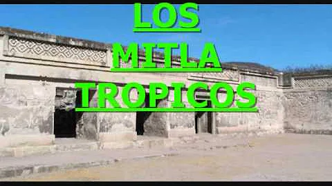 LOS MITLATROPICOS  LA MORENA GUILLERMINA