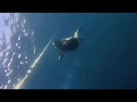 No swimming skills, just courage and Moalboal's sardine run + sea turtles look too good to skip🐢🐟🌊✨