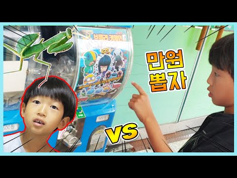 만원 다뽑기! 브롤스타즈 전설 뽑으로 가는길에 ㅋㅋ 매미잡고 사마귀? 곤충 채집, 관찰!?  정훈TV