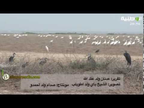 رحلة على شواطئ حوض آركين تقرير لالة منت مد لقناة الوطنية