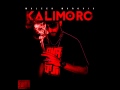 Maleek morovic  6 dmg dommage  album kalimoro