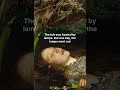 Ophelia by Millais: The Dangerous Cost of Realism #art #painting