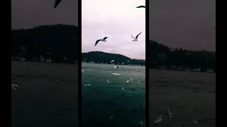 Nevras ❤️ Resimi