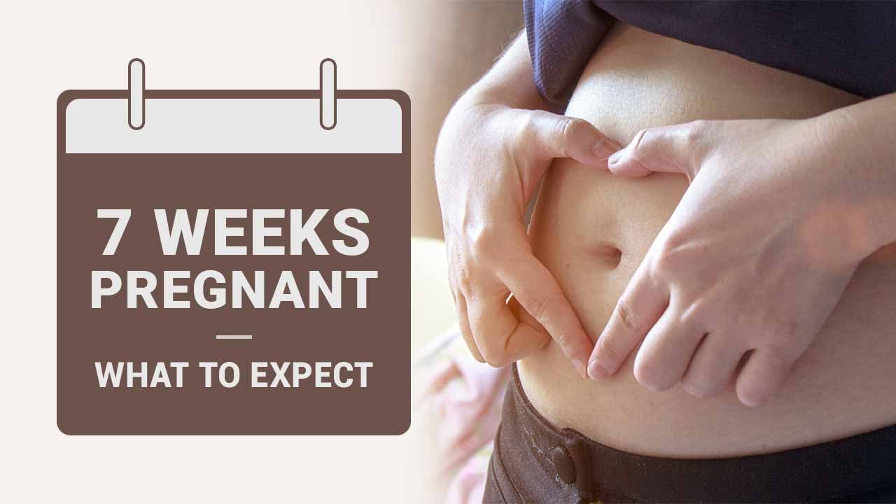 7 Weeks Pregnant: Symptoms, Baby Size, Body Changes & more