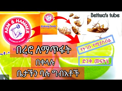 ቪዲዮ: የበረሮ መድሀኒት ያግኙ፡ ቅንብር፣ የአጠቃቀም መመሪያዎች፣ ግምገማዎች