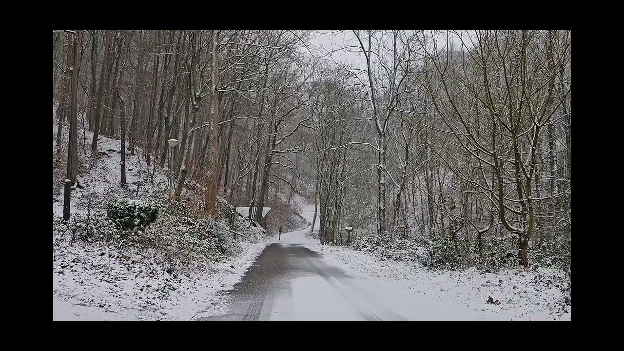 Peaceful Winter Piano ❄️ Snowy Forest Relaxation | Stress Relief & Sleep