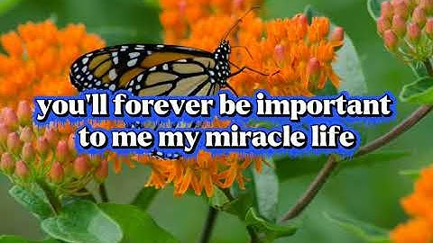 Thumbnail of Tommy Shaw (Count On You) Lyrics