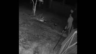 Pa beat the heck out of skunk for messing with his Snoopy 🐶