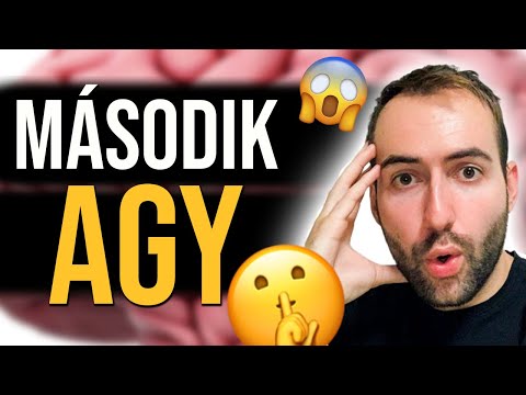 Hogyan lettem 7X hatékonyabb (2 AGYAM VAN)