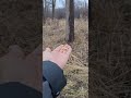 يفهم ناتاش أناديه فيأتي