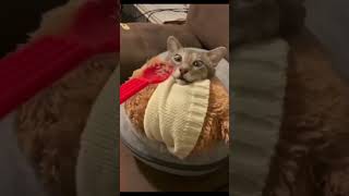 Nick Polk, Sr. Adviser, Cybersecurity, Office Of The Federal Cio The Daily Scoop Podcast