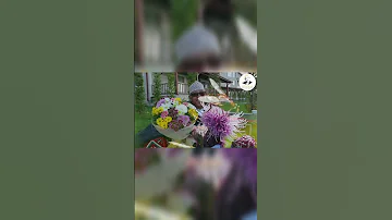 أيوب طارش ياقلب طوف الزهر 