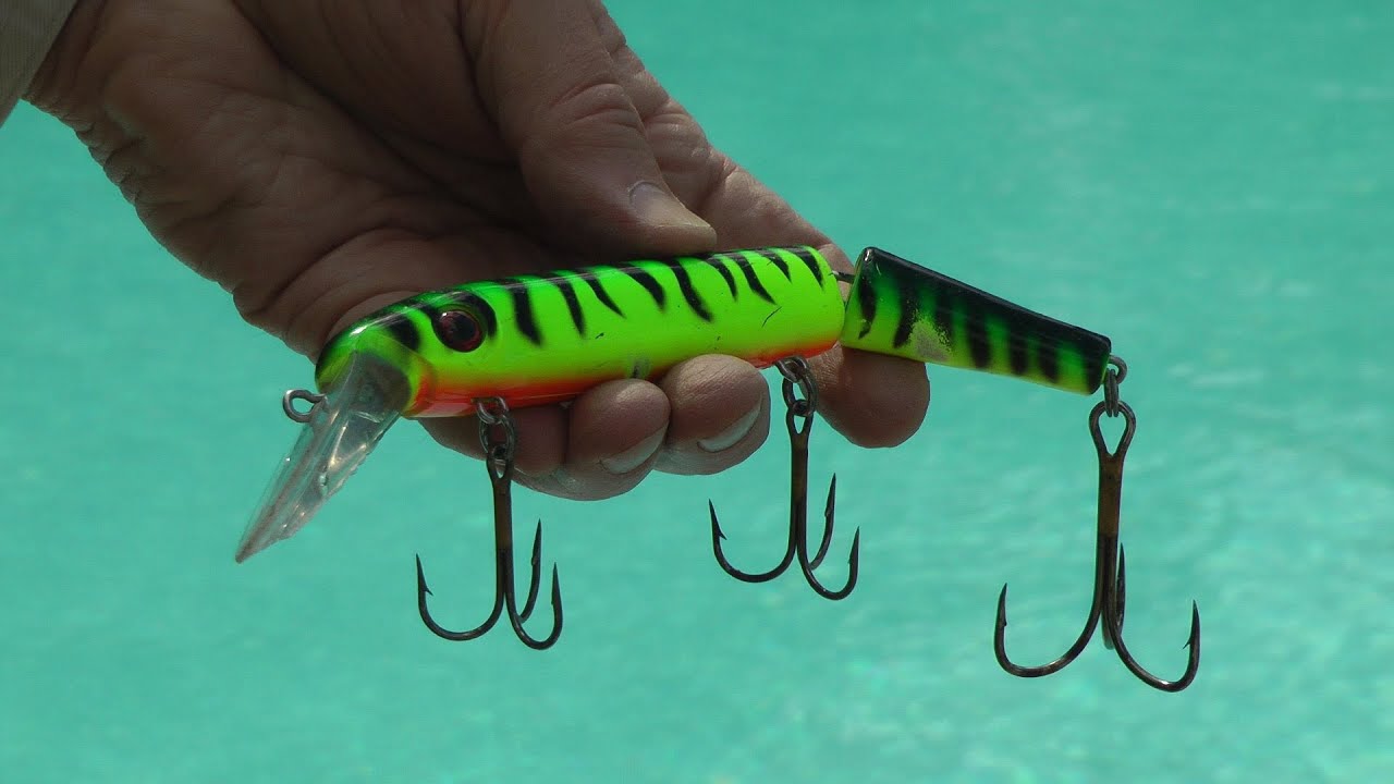 Suick Cisco Kid Wrangler crankbait poolside fishing lure demonstration of  speed and action 