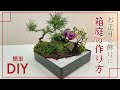 【簡単DIY】お正月の飾り プロによる箱庭の作り方紹介【初心者向け】【寄せ植え】