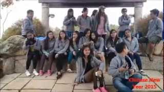 chinese new year celebration 02202015