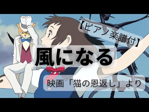 風になる〜映画「猫の恩返し」よりピアノカバー【楽譜あり】