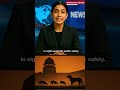 SC orders stray Dogs Off Delhi Streets in 8 Weeks#breakingnews#worldnews #dog #shorts#youtubeshorts