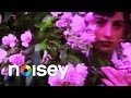 Roses Gabor - "RUSH" (Official Video)