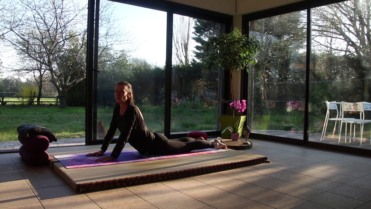 Yin Yoga des reins première partie
