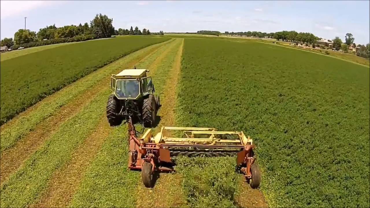 Haybine For Sale Sold YouTube Haybine For Sale Sold YouTube
