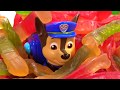 Paw Patrol is Trapped Under a Mountain of Gummy Worms