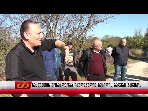 საქაშეთის მოსახლეობა იძულებულია ხეხილის ბაღები გაჩეხოს