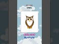 Animal Names in Cebuano Part 3 #bisaya #philippines #quiz #learn #learning #trivia #challenge