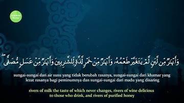 Surah Muhammad w/ English subtitles Mishary Rashid Alafasy سورة محمد بالترجمة الانجليزية