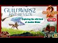 My journey in GW2 continue! Exploring Janthir Wilds — META events exploration and story!