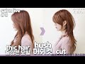 SUB)망한머리 안되는 방법 9. 두껍고 숱많은 모발, 완전 가벼운 허쉬컷 자르기!! how to cut hush layered style | 마스터콴