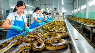 20 Minutes Satisfying Video Working & Exciting Factory Machines, Ingenious Tool, Admirable Worker P2