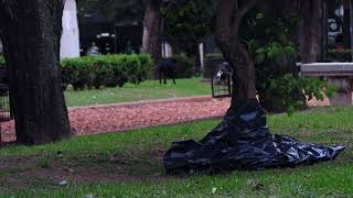 Plaza Centenario - premisa
