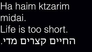 Learn Hebrew Conversation - 1 Hebrew screenshot 4